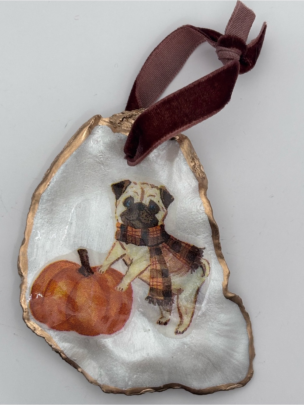 Pug & Pumpkin Velvet Ribbon Holiday Oyster Shell Ornament in Burgundy - Picture 3 of 4